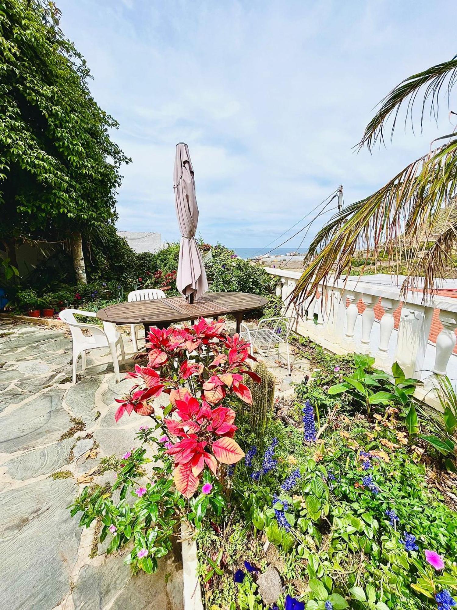 Santa Maria de Guia de Gran Canaria Apartamento En Alquiler מראה חיצוני תמונה